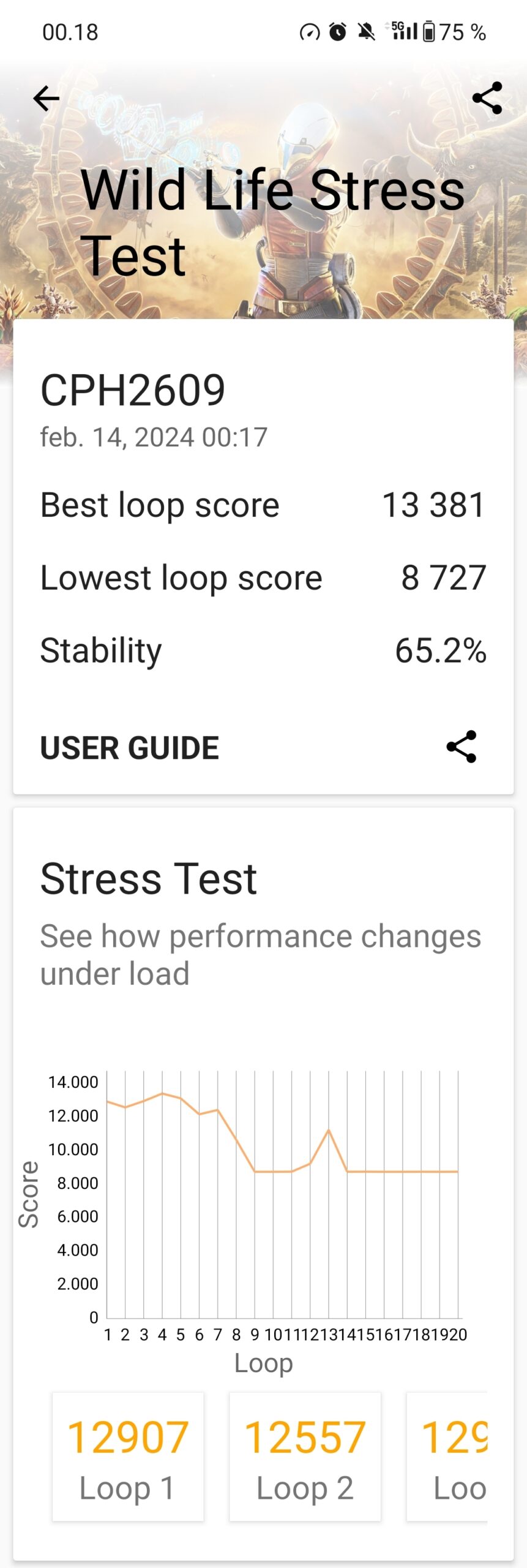 3D mark stress test Oneplus 12R pic 1