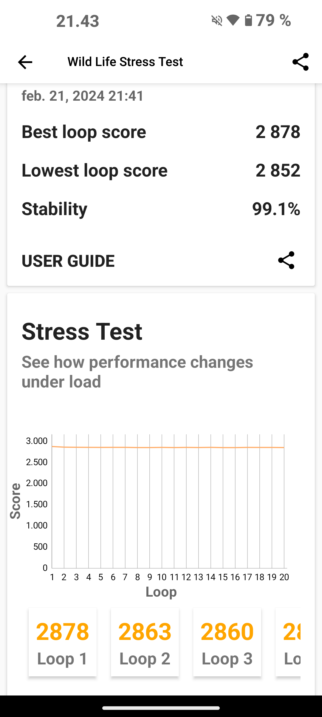 Nothing Phone 1 3D mark stress test 2024 - 1