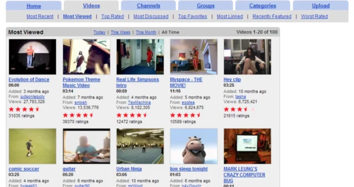 I dag fylder YouTube 20 år