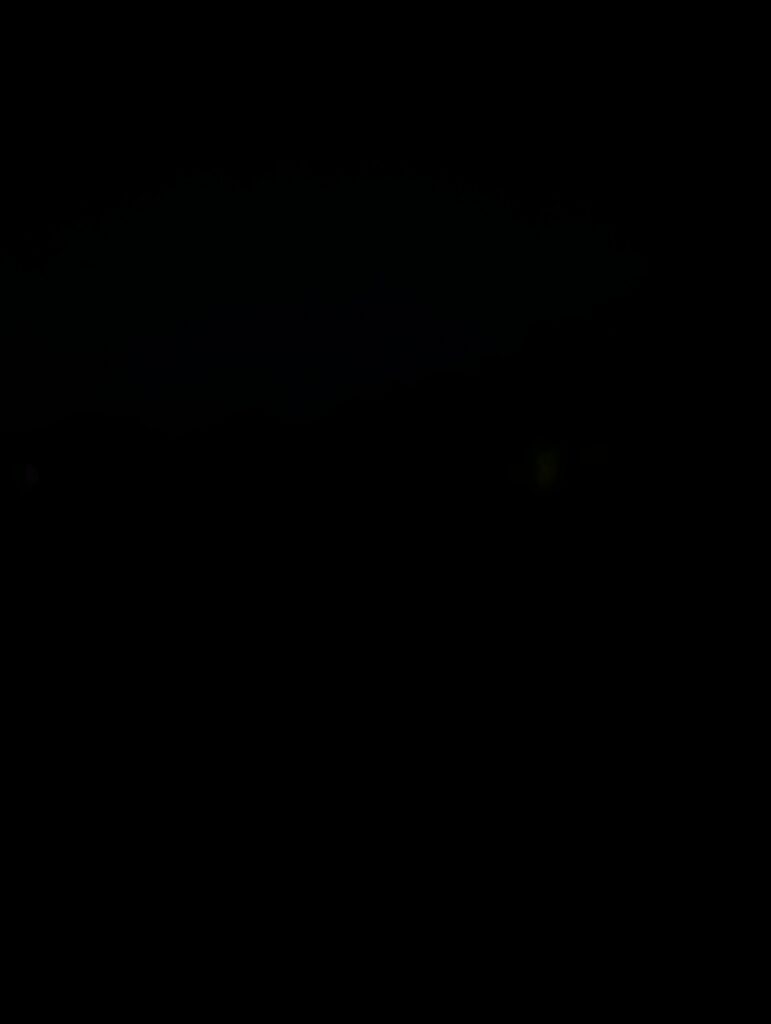 Google Pixel 10 Pro XL Nat uden Mørkelinse